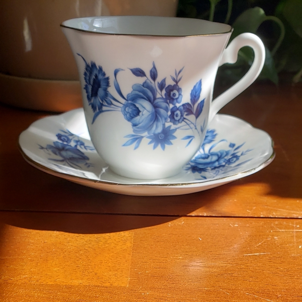 Taylor & Kent Elizabethan Teacup #5